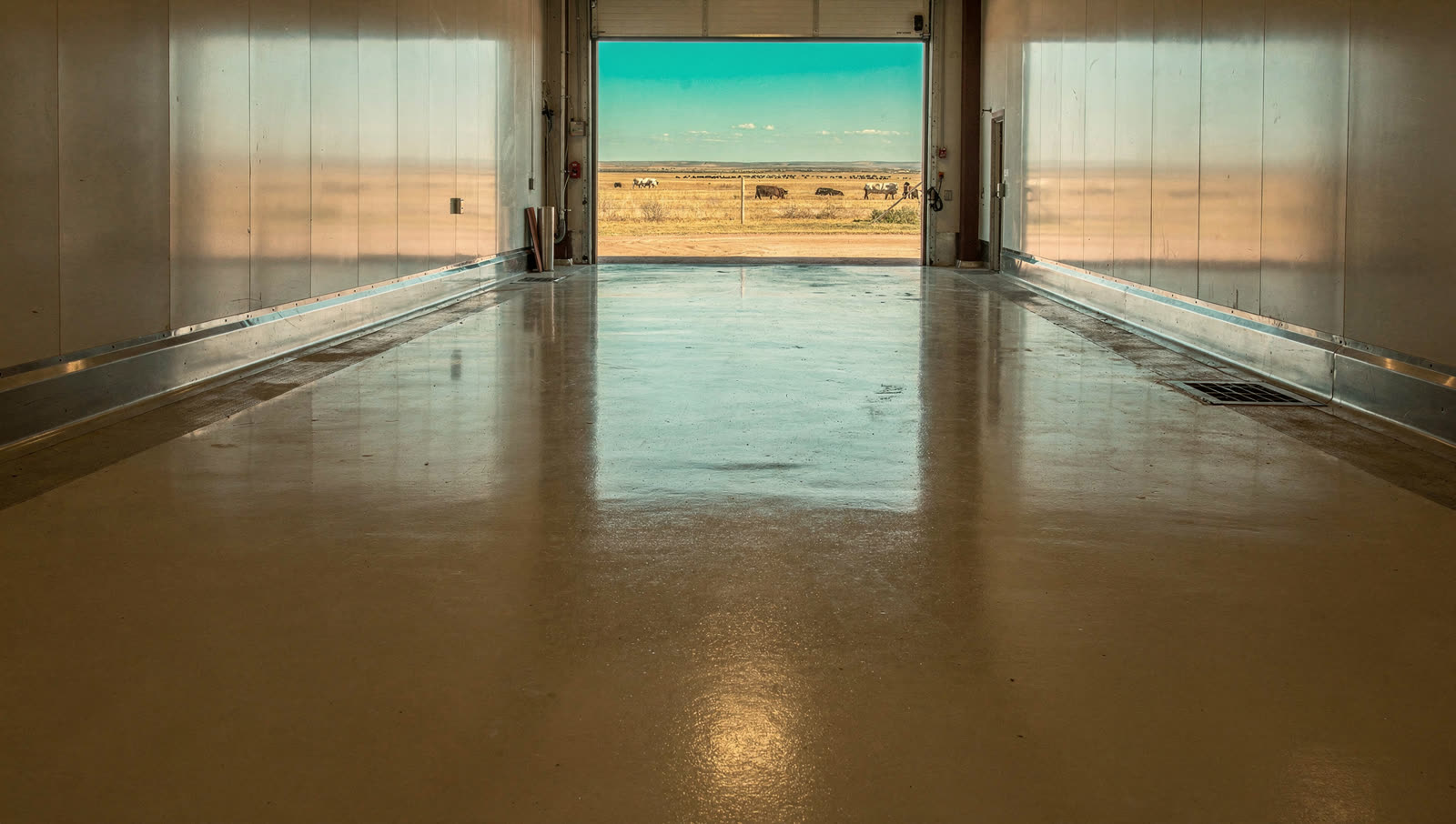 A finished commercial floor in a Texas Panhandle food processing plant corridor with seamless washdown-rated urethane flooring, stainless walls, cattle country flatland beyond
