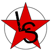 Lone Star Surface Pros logo